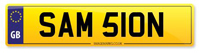 Personalised Number Plate SAM 510N