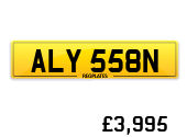 ALY 558N
