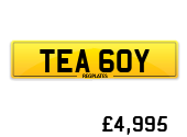TEA 60Y