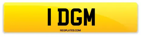 1 DGM