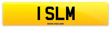 1 SLM