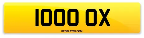1000 OX
