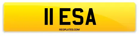 11 ESA