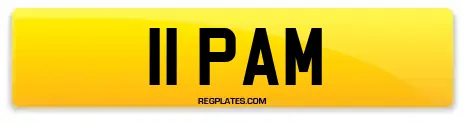 11 PAM