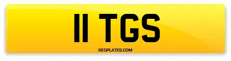 11 TGS