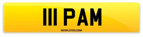 111 PAM