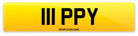 111 PPY