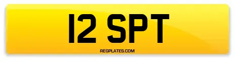 12 SPT