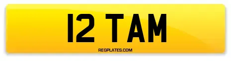 12 TAM