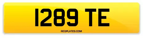 1289 TE