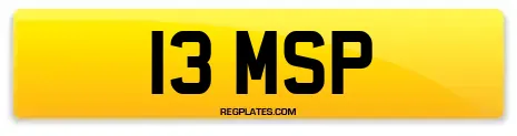 13 MSP