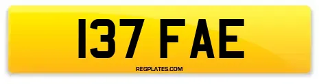 137 FAE