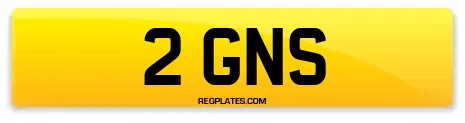 2 GNS