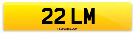 22 LM
