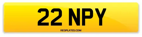 22 NPY