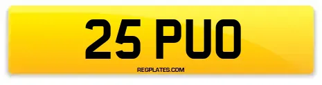 25 PUO