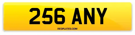 256 ANY