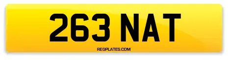 263 NAT