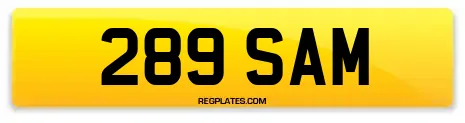 289 SAM