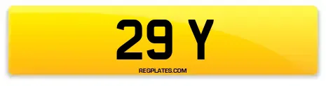 29 Y