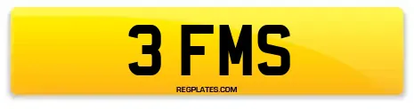 3 FMS