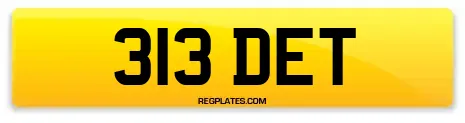 313 DET