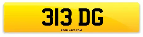 313 DG