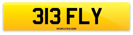313 FLY