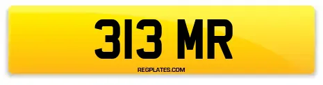 313 MR