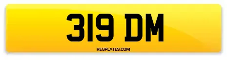 319 DM