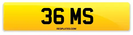 36 MS
