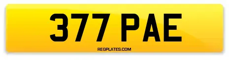377 PAE