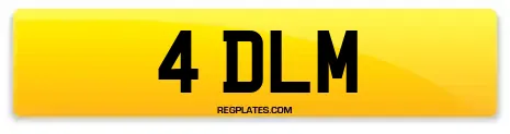 4 DLM
