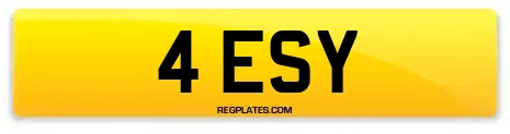 4 ESY