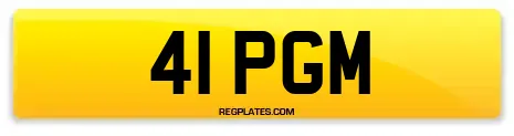 41 PGM