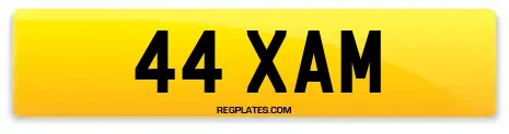 44 XAM