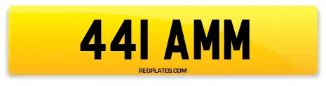 441 AMM