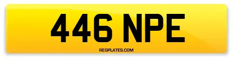 446 NPE