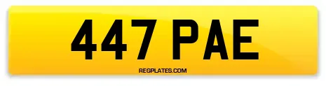 447 PAE