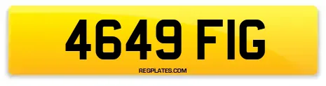 4649 FIG