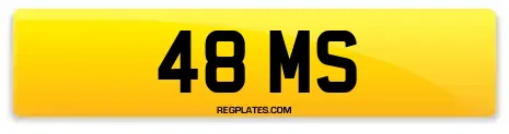 48 MS