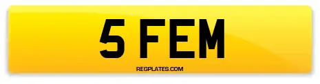 5 FEM
