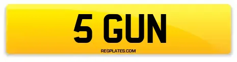 5 GUN