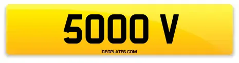 5000 V