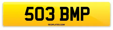 503 BMP