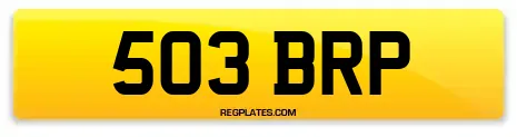 503 BRP