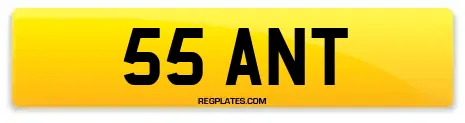 55 ANT