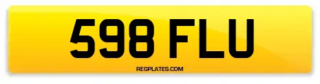 598 FLU