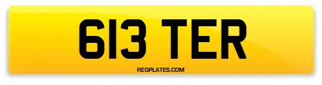 613 TER