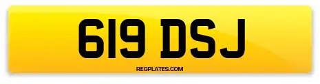 619 DSJ
